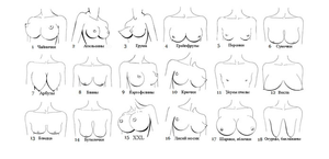 Наименования форм женской груди